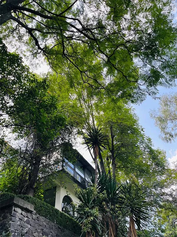 Centro Kanda, foto 2